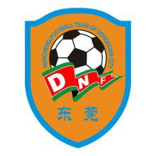 Dongguan Nancheng team logo