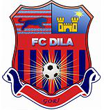 FC Dila Gori team logo