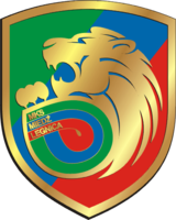 Miedz Legnica team logo