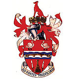 Staines Town team logo
