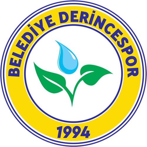 Derincespor team logo
