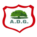 Asociación Deportiva Guanacasteca team logo