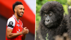 Arsenal stars Aubameyang, Bellerin & Leno name baby gorillas in Rwandan ceremony to promote conservation efforts