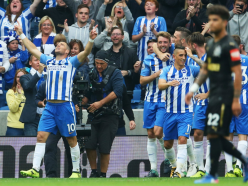 Brighton and Hove Albion 1 Newcastle United 0: Hemed the hero in second home win