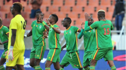 ‘We will certainly try our best’ – Logarusic upbeat about Zimbabwe’s Chan chances