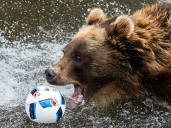 VIDEO: Russian team enlists bear to kick off league match!