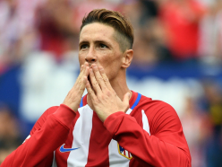 Benitez would welcome Torres to Newcastle