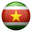 Suriname country flag