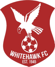 Whitehawk team logo