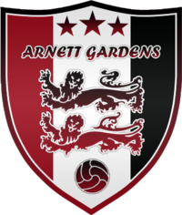 Arnett Gardens team logo