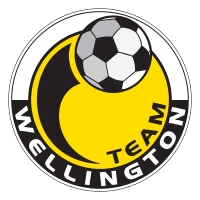 Team Wellington team logo