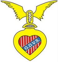 Vitoria Sernache team logo