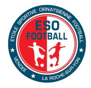 La Roche/Yon (w) team logo