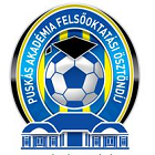 Puskas Academy (u19) team logo