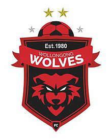 Wollongong Wolves team logo