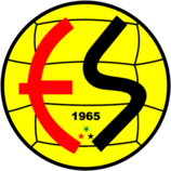 Eskisehirspor team logo