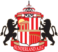 Sunderland (u23) team logo