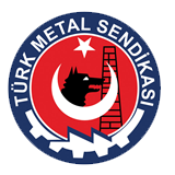 Turk Metal Kirikkalespor team logo