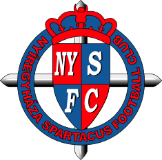 Nyiregyhaza team logo