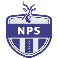 Ngezi Platinum team logo