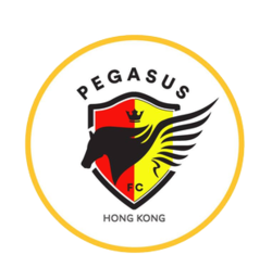 Hong Kong Pegasus team logo