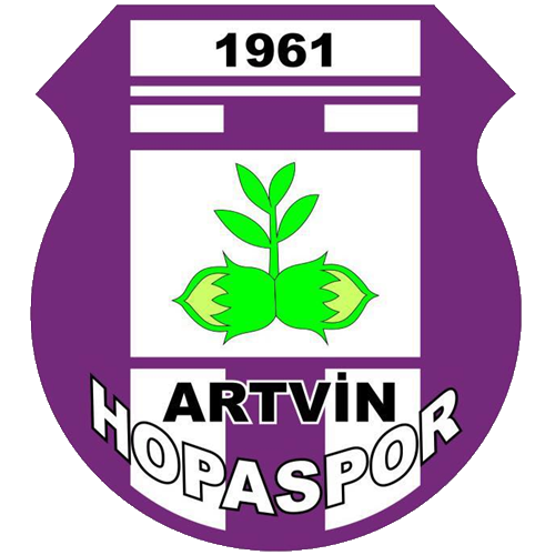 Artvin Hopaspor team logo