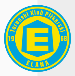 Elana Torun team logo