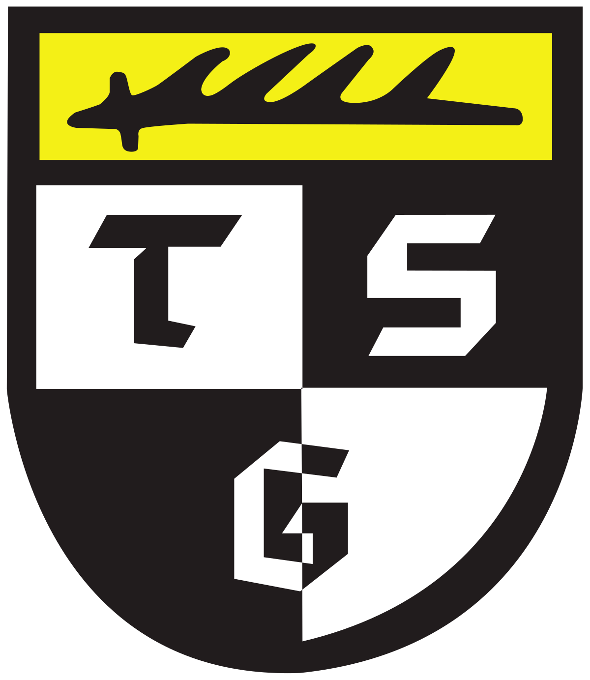 TSG Balingen team logo