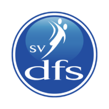 SV DFS team logo