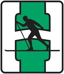 Heming team logo