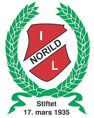 Norild team logo