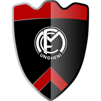 FCM Ungheni team logo