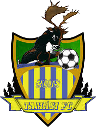 Tamasi 2009 team logo