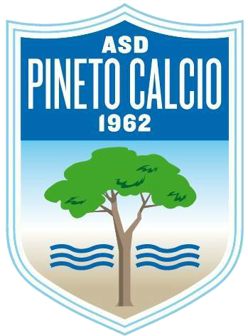 Pineto team logo