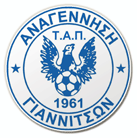 Anagennisi Giannitsa team logo