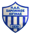 Saronikos Eginas team logo