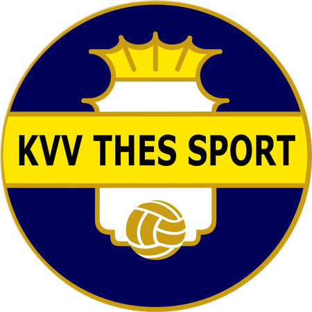 Thes Sport team logo