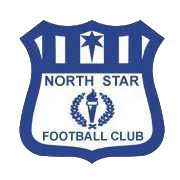 North Star team logo
