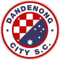 Dandenong City (u20) team logo