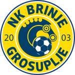 NK Brinje Grosuplje team logo