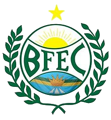 Bosque Formosa EC team logo