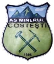 Minerul Costesti team logo