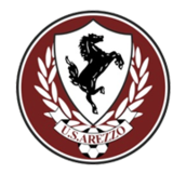 Arezzo team logo
