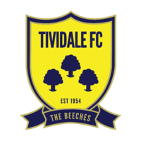 Tividale team logo