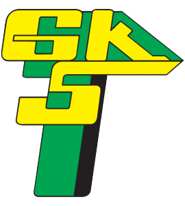 Gornik Leczna team logo