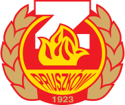 Znicz Pruszkow team logo