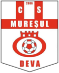 Muresul Deva team logo