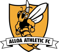 Alloa Athletic team logo