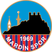 Mardinspor team logo