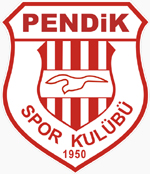 Pendikspor team logo